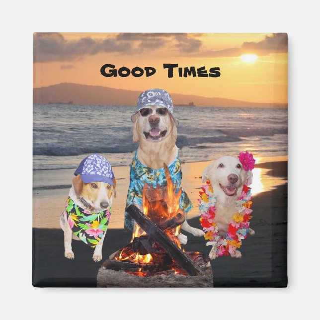 Aimant Chiens sur la plage au coucher du soleil (Devant)