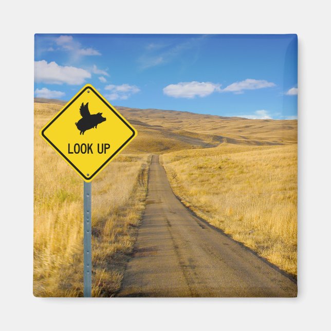 Aimant Chiens volant au-dessus du signe (Devant)