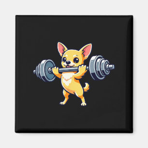 Aimant Chihuahua chien powerlifting musculation gym