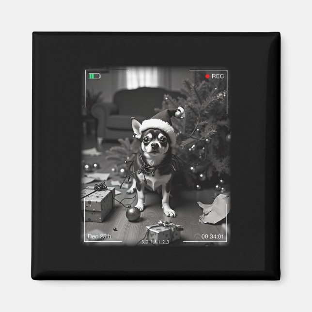 Aimant Chihuahua de Noël pris en caméra  (Devant)