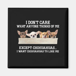 Aimant Chihuahua I Don't Care What Anyone Thinks Of Me
