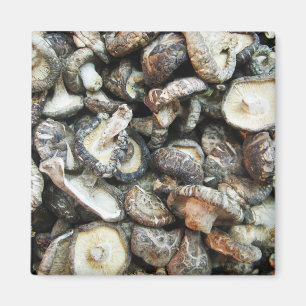 Aimant Chiitake Musrooms