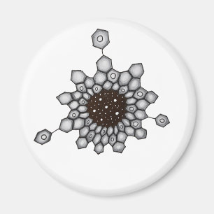 Aimant Chimie organique Structure aromatique Étoiles spa