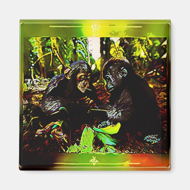 Aimant Chimp and Gorilla Cooperation 02. (Devant)