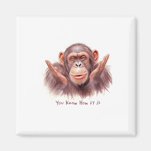 Aimant Chimp Vous Disant :"Vous Savez Comment Ça Se Passe (Devant)