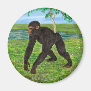 Aimant Chimpanzé