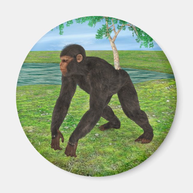 Aimant Chimpanzé (Devant)