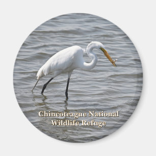 Aimant Chincoteague National Wildlife Great Heron Egret