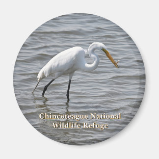 Aimant Chincoteague National Wildlife Great Heron Egret