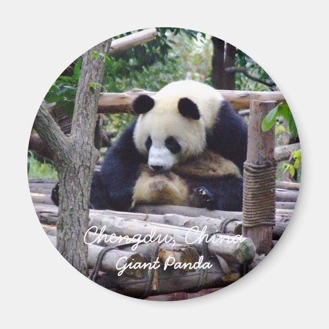 Aimant Chine, Chengdu, Panda géant (aimant) (Devant)