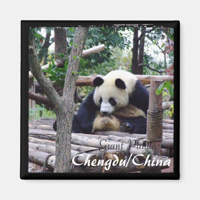 Aimant Chine, Chengdu, Panda géant (aimant) (Devant)