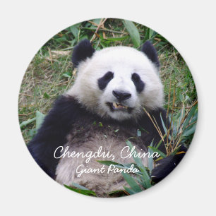 Aimant Chine, Chengdu, Panda géant (Magnet)