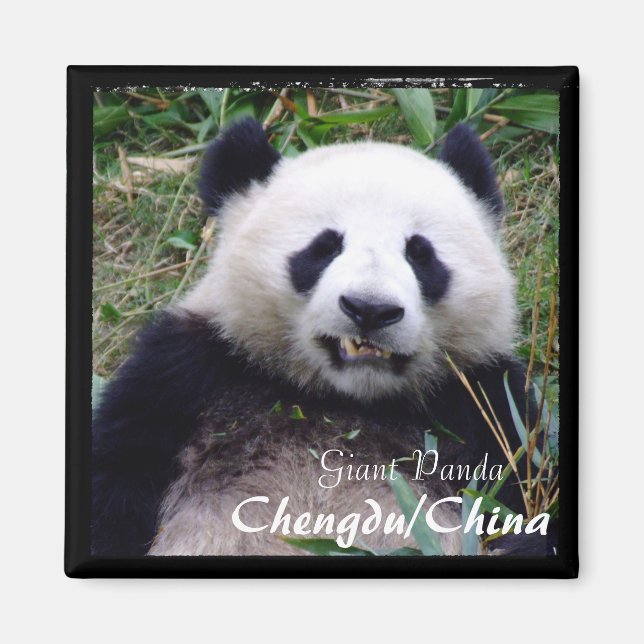 Aimant Chine, Chengdu, Panda II géant (aimant) (Devant)