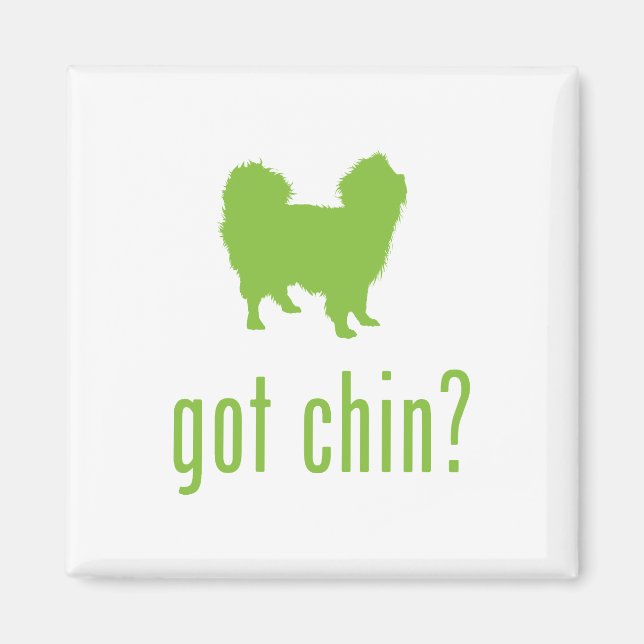 Aimant Chine japonaise (Devant)