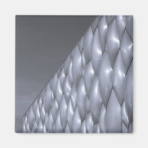 Aimant Chine, Pékin. Centre National Aquatique