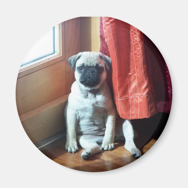 Aimant chiot 007 (Devant)