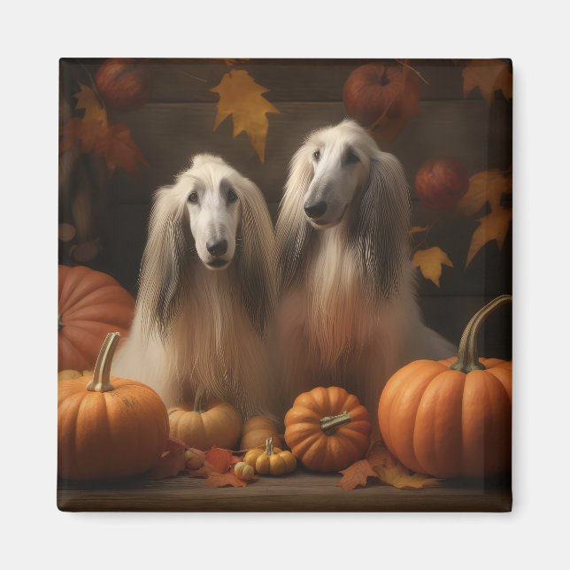 Aimant chiot Afghan Hound Automne Délice Citrouille (Devant)