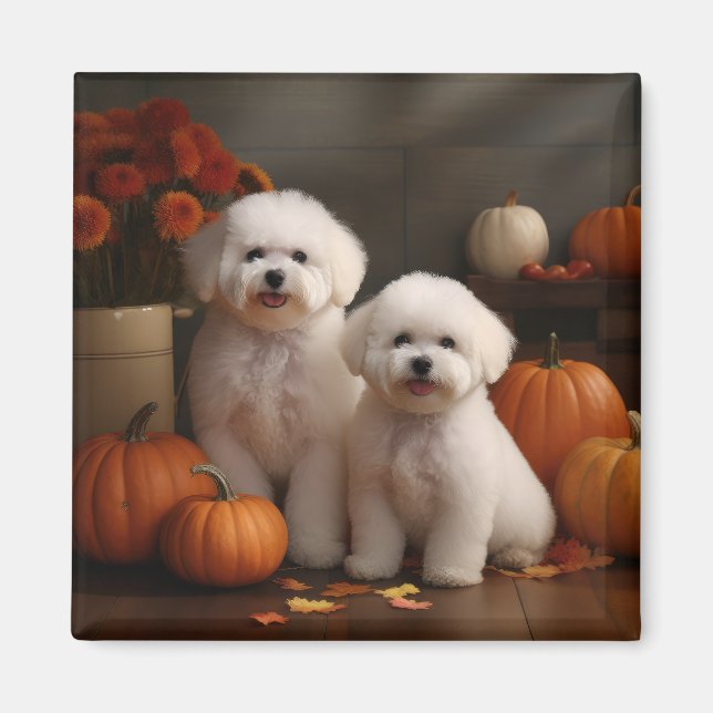 Aimant Chiot Bichon Frise Délice d'Automne Citrouille  (Devant)
