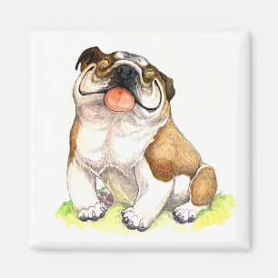 Aimant Chiot Bouledogue Anglais
