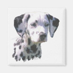 Aimant Chiot dalmatien