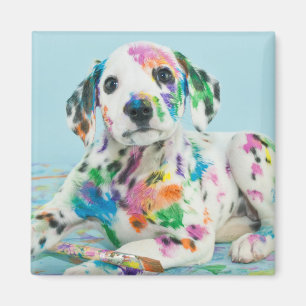 Aimant Chiot dalmatien