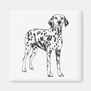 Aimant Chiot Dalmatien - Chien tacheté noir et blanc