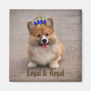 Aimant Chiot de Corgi Loyal et Royal