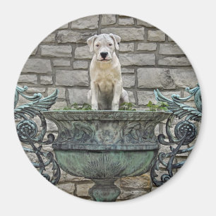 Aimant Chiot de Dogo Argentino royal
