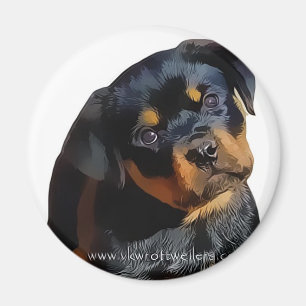 Aimant Chiot de rottweiler