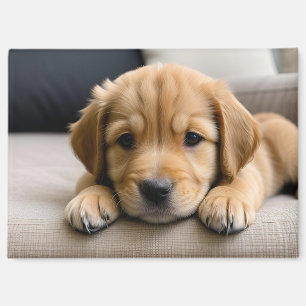 Aimant Chiot Golden Retriever
