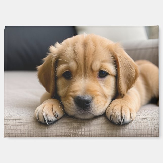 Aimant Chiot Golden Retriever (Recto)