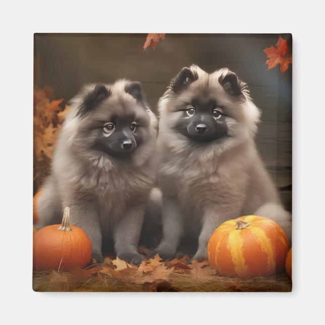 Aimant Chiot Keeshond Délice d'Automne Citrouille (Devant)