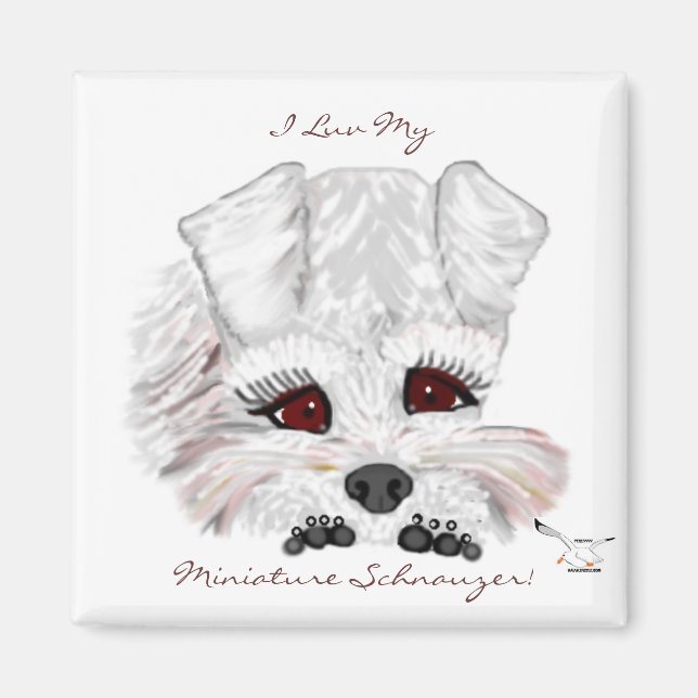 Aimant Chiot Schnauzer Miniature (Devant)