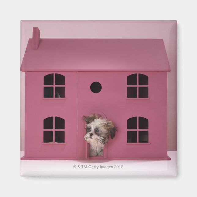 Aimant Chiot sortant de la maison de poupée (Devant)