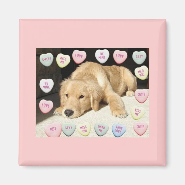 Aimant Chiot Valentine Golden Retriever (Devant)