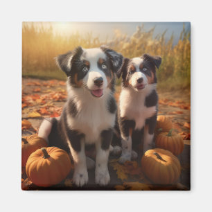 Aimant Chiots Berger Australien Délice d'Automne Citrouil