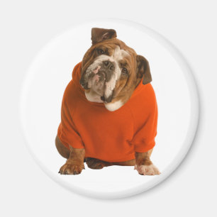 Aimant Chiots Bouledogue Anglais Amour