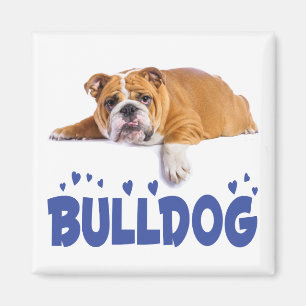 Aimant Chiots Bouledogue Anglais Amour de Chien