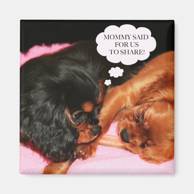Aimant Chiots Cavalier King Charles Spaniels (Devant)