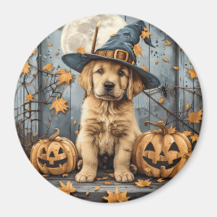 Aimant Chiots Retriever doré Halloween Citrouilles lumine