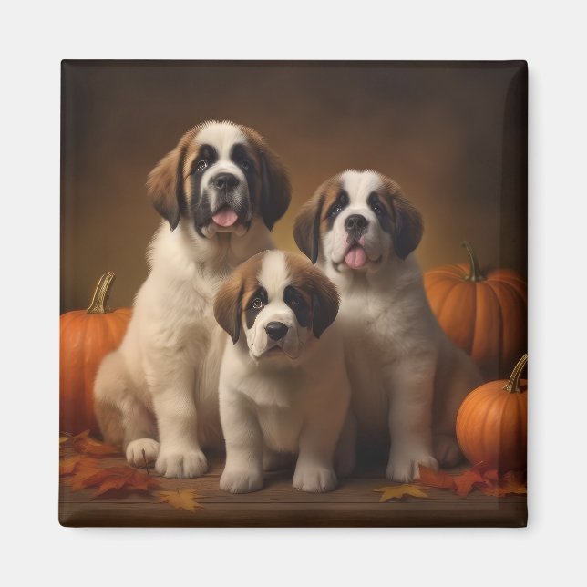 Aimant Chiots Saint-Bernard Délice d'Automne Citrouille (Devant)