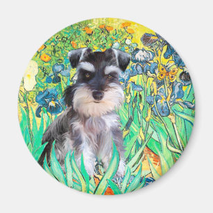 Aimant Chiots Schnauzer 10Znat - Iris