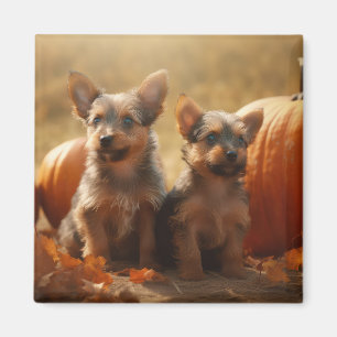 Aimant Chiots Terrier Australien Délice d'Automne Citroui