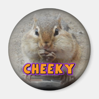 Aimant Chipmunk