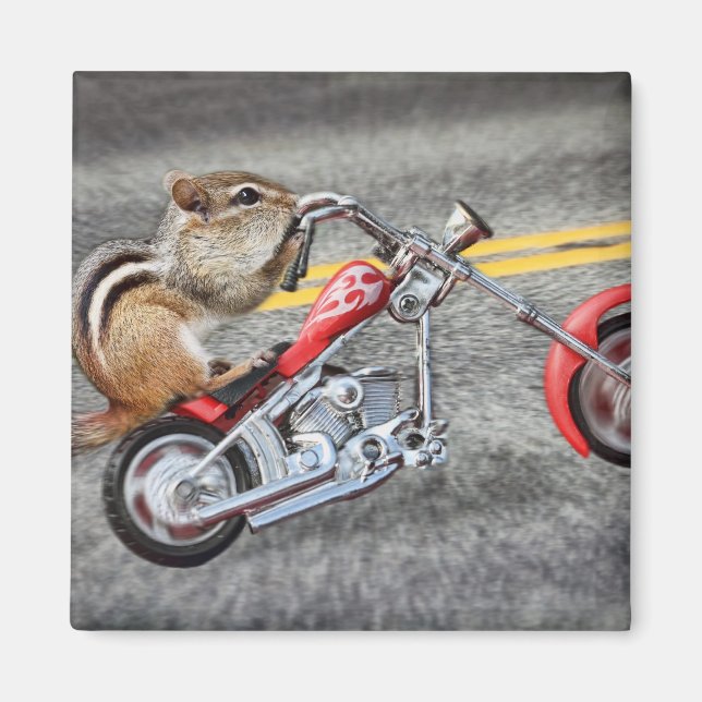 Aimant Chipmunk Biker équitation d'une moto (Devant)