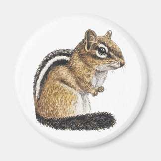 Aimant Chipmunk Cutie