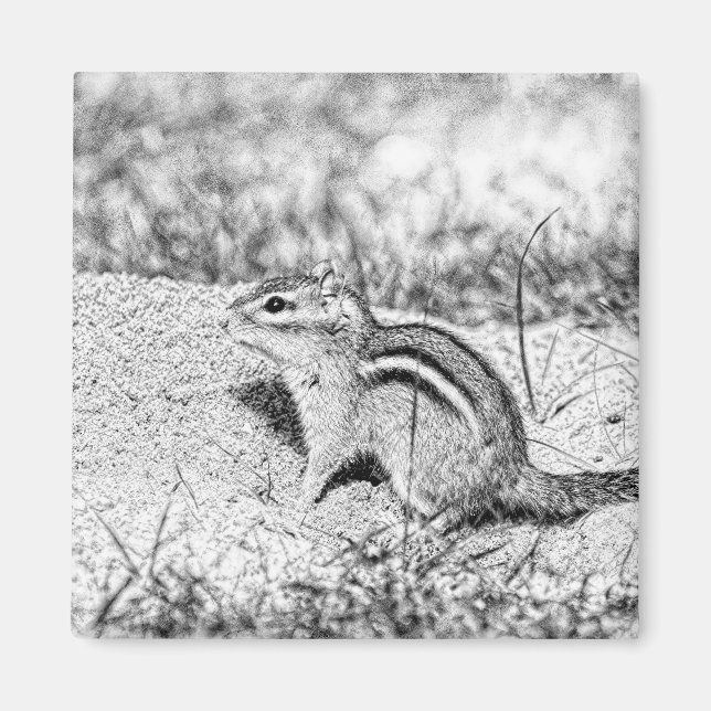 Aimant Chipmunk Sketch (Devant)