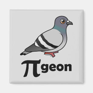 Aimant Chirurgie de Pigeon Pi