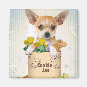 Aimant Chiwawa posé avec la boîte à biscuits