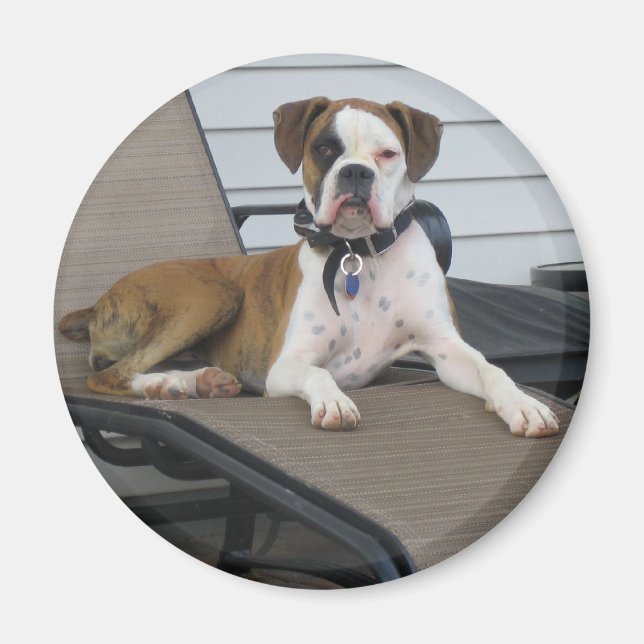 Aimant Chloe (Devant)